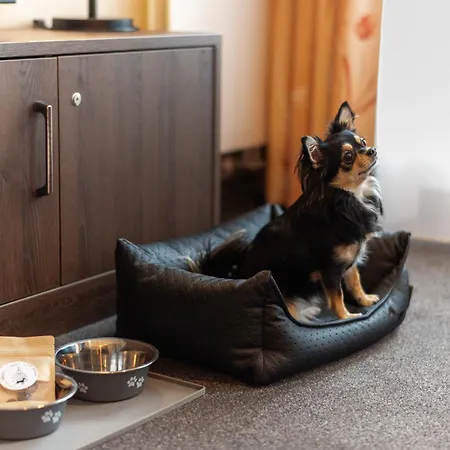 Hotel apartamentowy Neumarkt