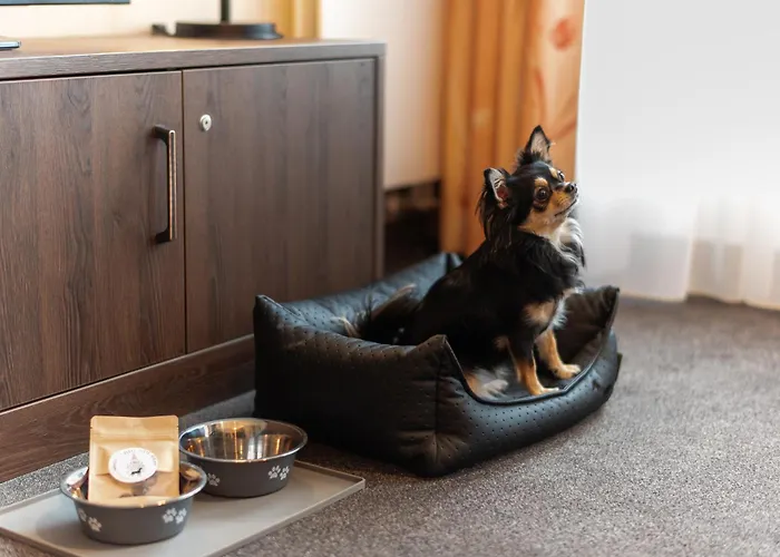 Hotel apartamentowy Neumarkt